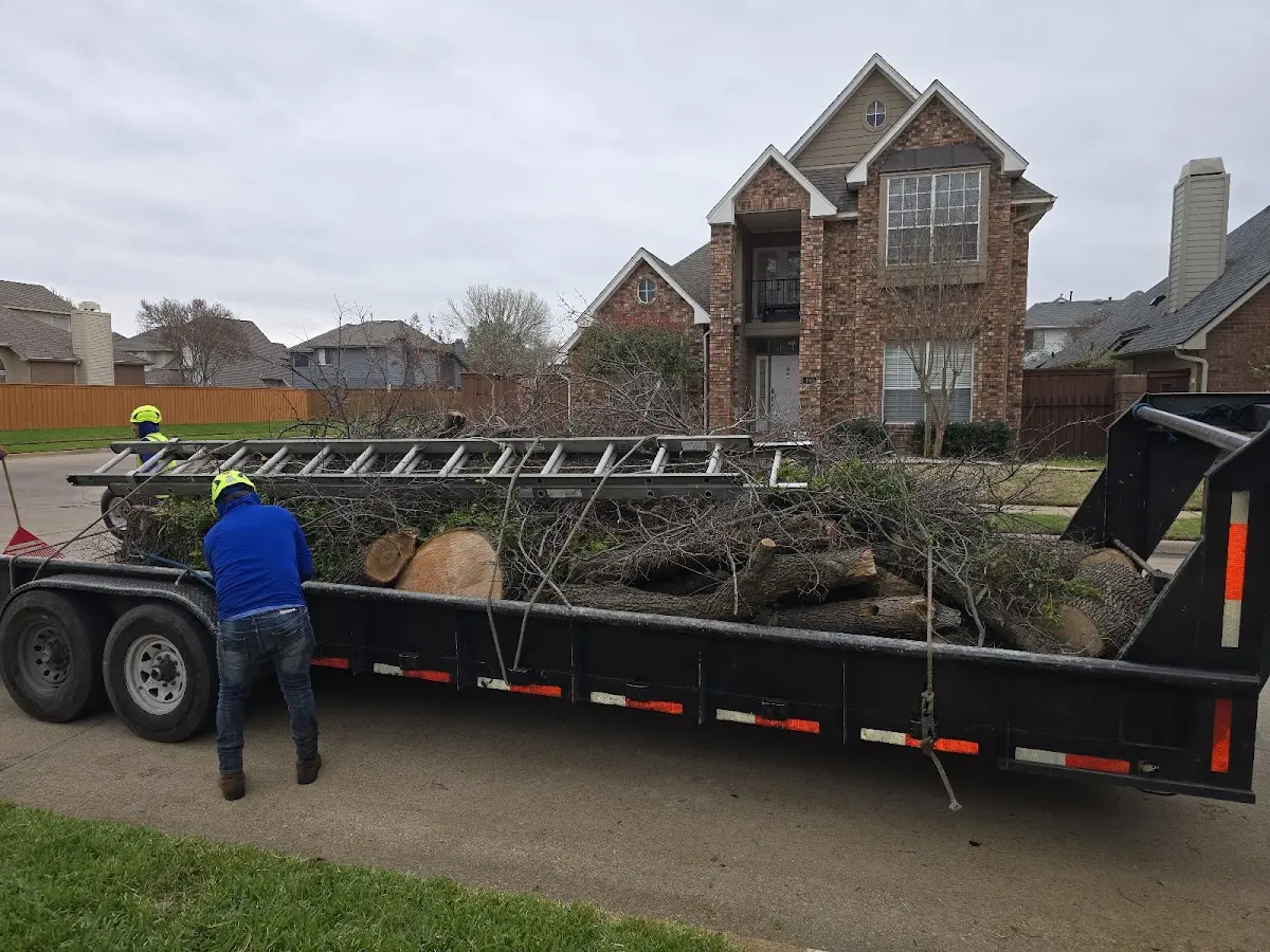 Expert Crown Reduction with proper safety equipment in Goshen